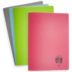 Caiet A4 (40foi matem) plastic Gingko