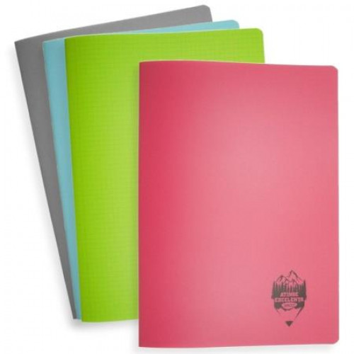 Caiet A4 (40foi matem) plastic Gingko