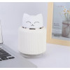 Umidificator Kitty VLM S157-6