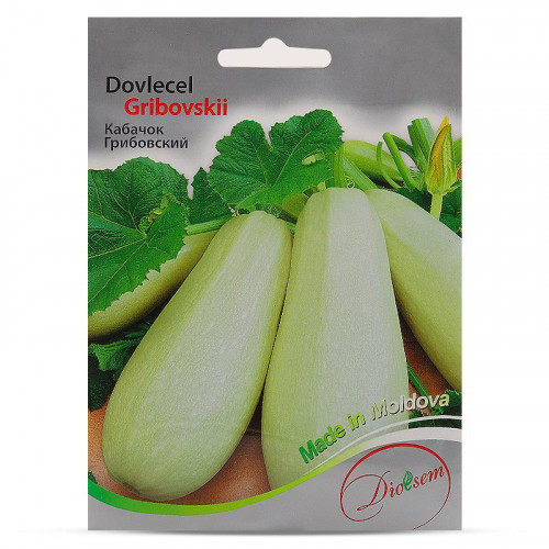 Maxi Dovlecel ''Gribovskii'' (15gr)