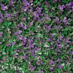 Iarbă artificială DIVY 3D BUXUS LILAC 0.5*1m