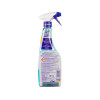 SPRAY UNIVERSAL (LĂMÂIE) 650 ML