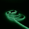 Bandă LED Gauss Black (verde/5m)