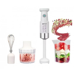 Blender HOFFMANS HM-8042