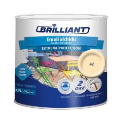 Email alchidic Extreme Protection bej 2.5L