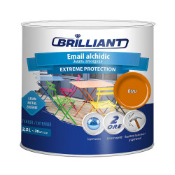 Email alchidic Extreme Protection ocru 2.5L