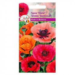 Euro Papaver Oriental (0.2gr)