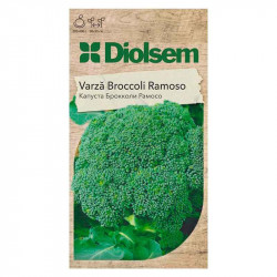 Euro Varză Broccoli ''Ramoso''(1gr)