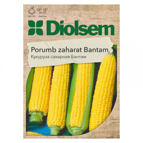 Maxi Porumb zaharat ''Brusnita'' (10gr)