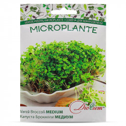 MG Varza Broccoli Medium (10gr)