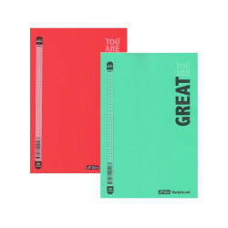 Caiet A4, 100 pagini, cu linii, plastic Gingko