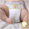 Подгузники Pampers VP PREMIUM CARE JUNIOR 44 (5), 5, 44 штуки, 11-16 кг